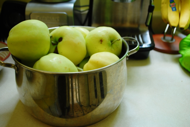 Apples in the pot, ready for rendering